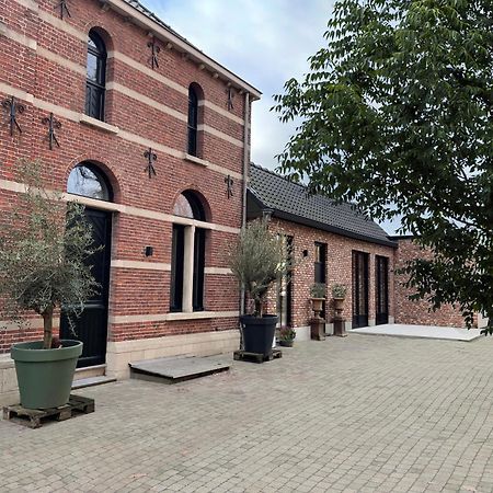 De Wilden Ezel Bed and Breakfast Mol Eksteriør billede