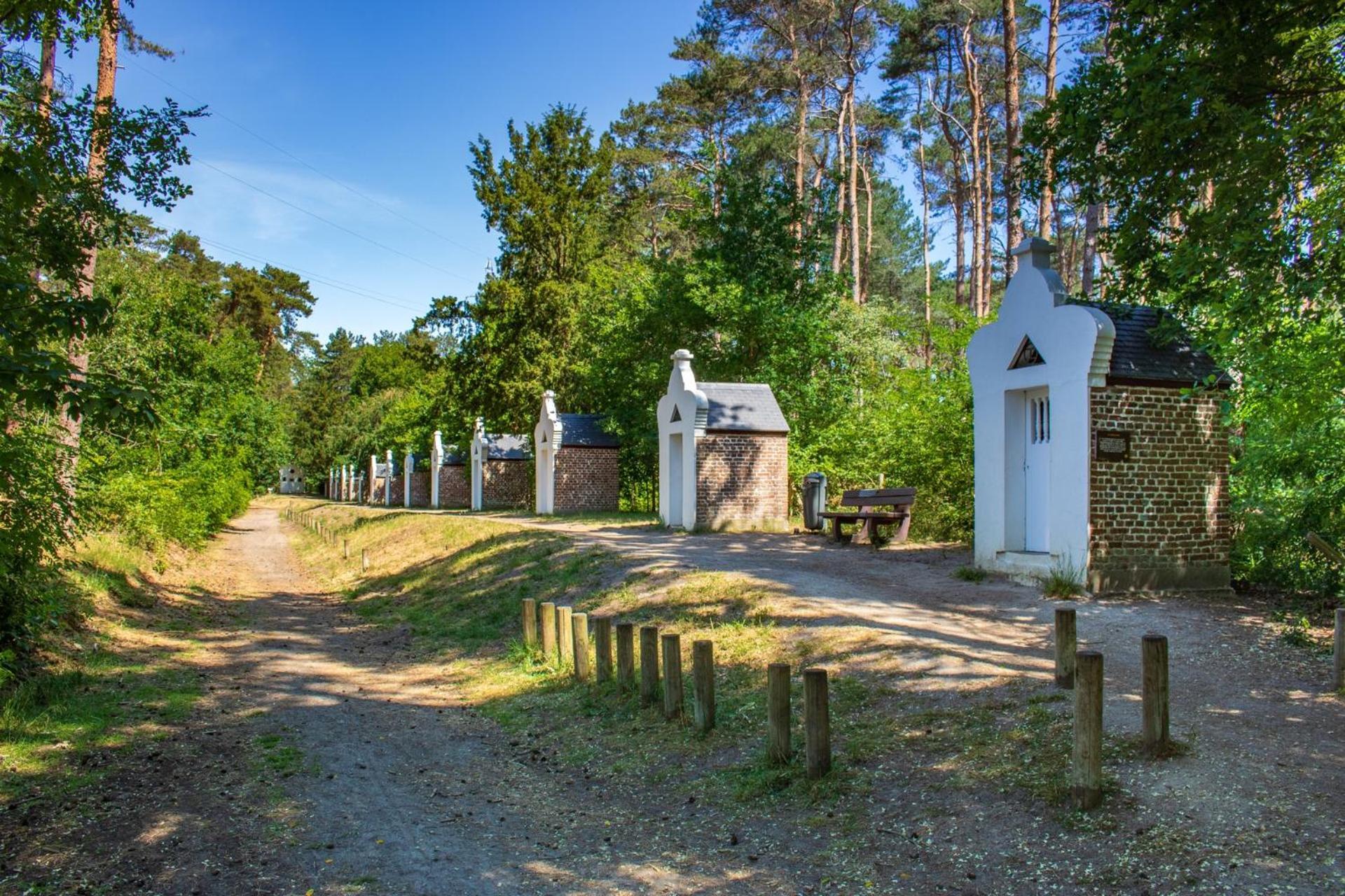 De Wilden Ezel Bed and Breakfast Mol Eksteriør billede
